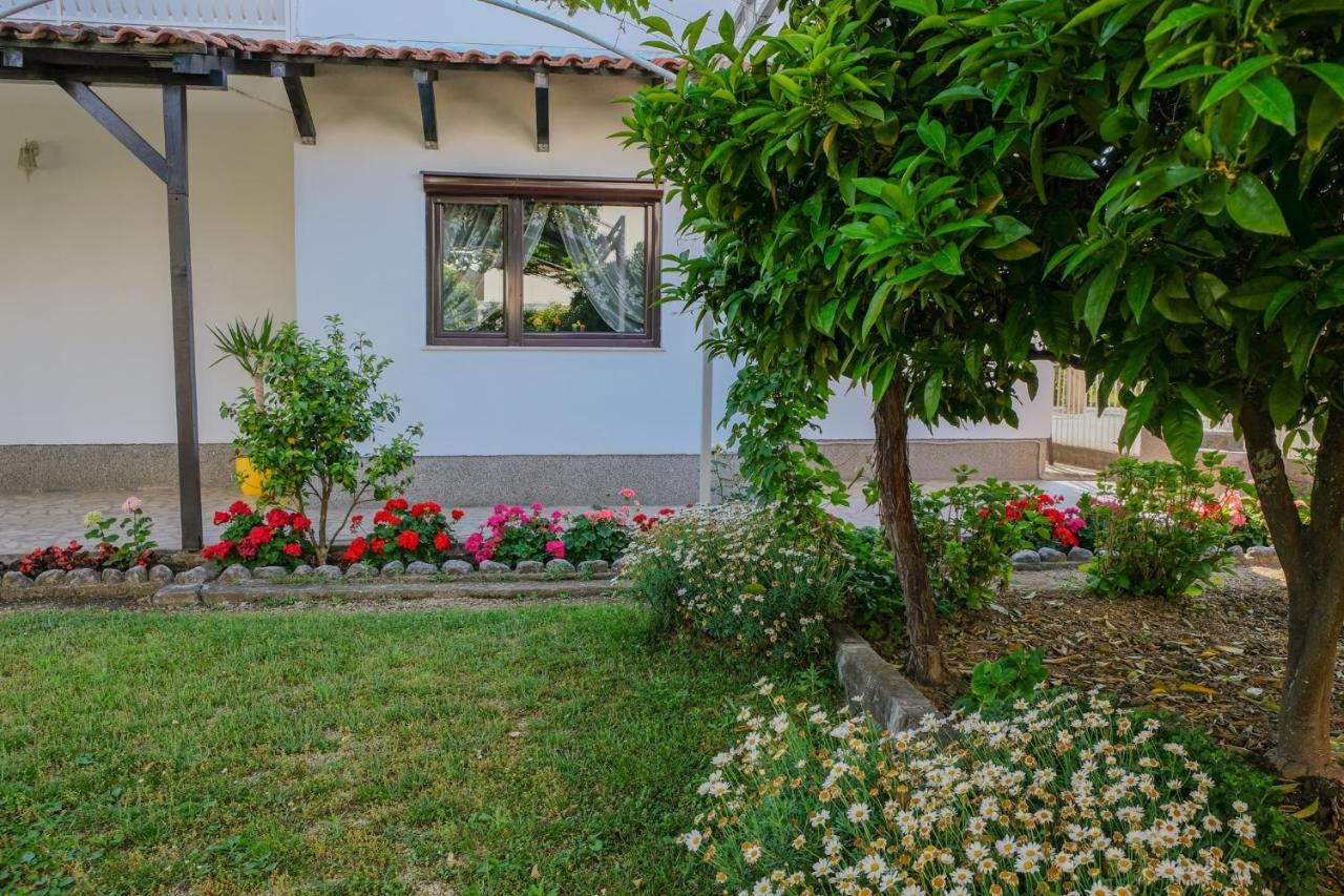 Vila Adriatik Ulcinj Extérieur photo