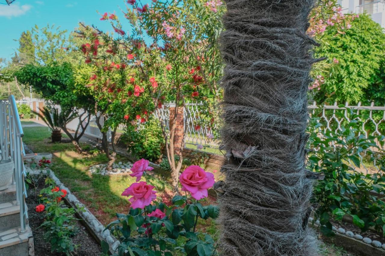 Vila Adriatik Ulcinj Extérieur photo